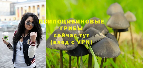тгк Абинск