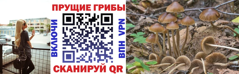 Псилоцибиновые грибы ЛСД  Архангельск 